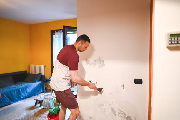 Best Mold Remediation for Schools in Hastings, PA
